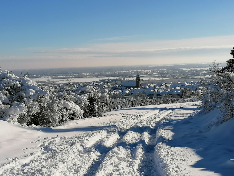 Le chemin des vignes sous la neige
