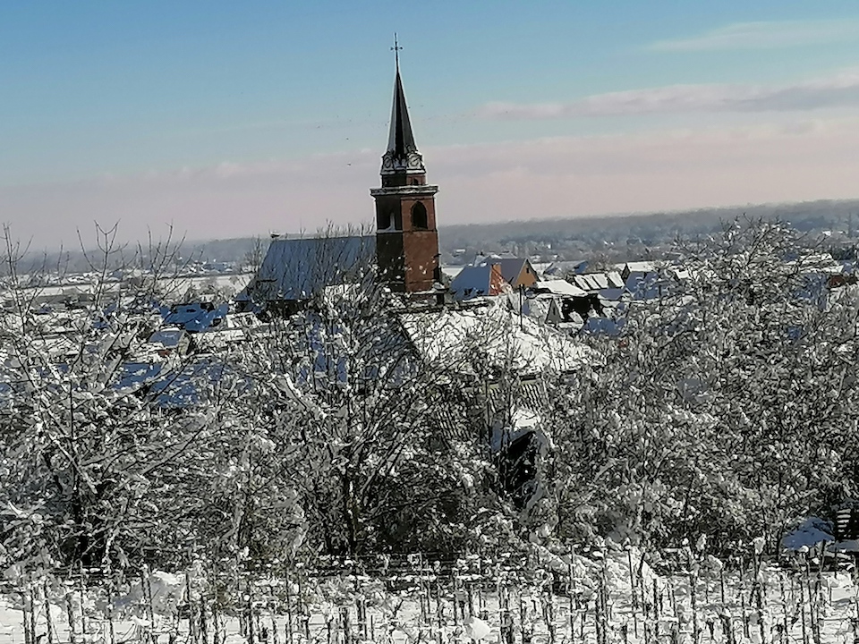 Lumière d’hiver sur la plaine d’Alsace